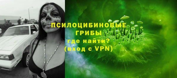 PSILOCYBIN Кодинск