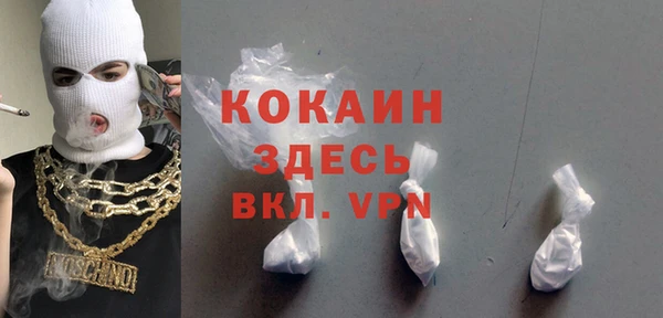 амф Козловка
