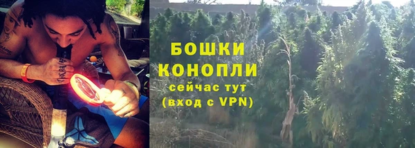 амф Козловка